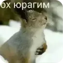 Стикер хрумки