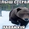 клёва