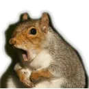 Стикер Approach