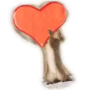 Стикер Approach