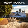 Ярославль