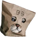 Стикер Conquer