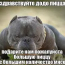 умирание
