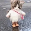 Стикер фуримама
