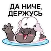 Стикер Янг