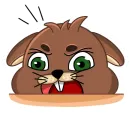beaver 🦫