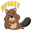 Стикер beaver 🦫