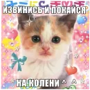 Стикер юбочка чулочки я чвк фембойчик)))