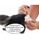 Стикер юбочка чулочки я чвк фембойчик)))