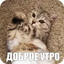 Стикер Yuki
