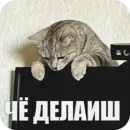 Стикер Yuki
