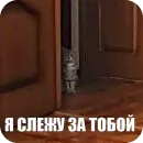 Стикер Yuki