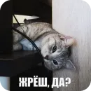 Стикер Yuki