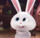Стикер Зайчик