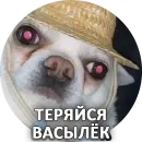 Стикер За мат извини