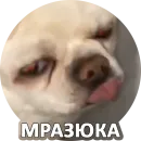 Стикер За мат извини