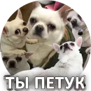 Стикер За мат извини