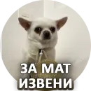 Стикер За мат извини