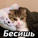 Стикер Бабские стикеры