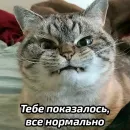 Стикер Бабские стикеры