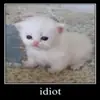 дизмилейт